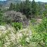  Land for sale in Sora, Chame, Sora