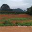  Земельный участок for sale in Nong Thale, Краби, Nong Thale, Mueang Krabi, Краби