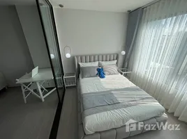 อพาร์ทเม้นท์ 1 ห้องนอน ให้เช่า ในโครงการ ไลฟ์ สาทร เซียร์รา, ตลาดพลู