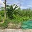  Land for sale in Pattani, Sabarang, Mueang Pattani, Pattani