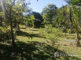  Land for sale in Alajuela, Orotina, Alajuela