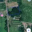  Land for sale in Nong Faek, Chiang Mai, Nong Faek