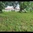  Terreno (Parcela) en venta en Costa Rica, Pococi, Limón, Costa Rica