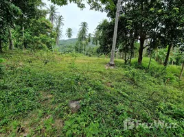 ขายที่ดิน ใน ขนอม, นครศรีธรรมราช, ขนอม, ขนอม, นครศรีธรรมราช