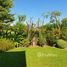 4 Bedroom House for sale in Chiang Mai, Luang Nuea, Doi Saket, Chiang Mai