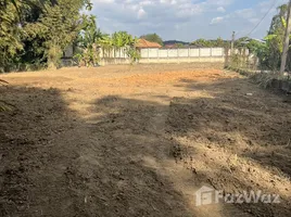 ขายที่ดิน ใน ห้วยทราย, เชียงใหม่, ห้วยทราย