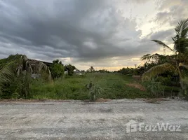 ขายที่ดิน ใน ไทรน้อย, นนทบุรี, ไทรน้อย
