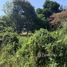 ขายที่ดิน ใน ป่าไผ่, เชียงใหม่, ป่าไผ่