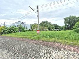 ขายที่ดิน ในโครงการ สวนเอกเลคปาร์ควิลล่า, คูคต, ลำลูกกา