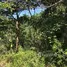  Land for sale in Bagaces, Guanacaste, Bagaces