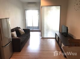 1 Bedroom Condo for rent at The Seed Musee, Khlong Tan, Khlong Toei