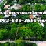  Land for sale in Khlong Sam, Pathum Thani, Khlong Sam, Khlong Luang