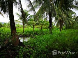 N/A Land for sale in Ou Oknha Heng, Preah Sihanouk Land for Sale near Sihanoukville International Airport