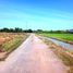  Земельный участок for sale in Khlong Luang Phaeng, Chachoengsao, Khlong Luang Phaeng, Mueang Chachoengsao, Chachoengsao