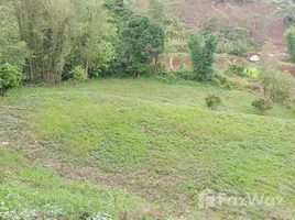  Земельный участок for sale in Nan, Bo Kluea Nuea, Bo Kluea, Nan