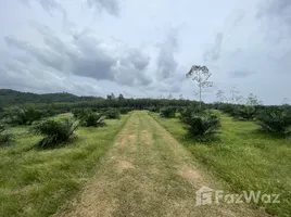 ขายที่ดิน ใน หล่อยูง, พังงา, หล่อยูง, ตะกั่วทุ่ง, พังงา