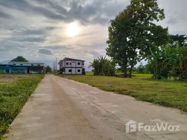  Land for sale in Chiang Rai, Mueang Phan, Phan, Chiang Rai