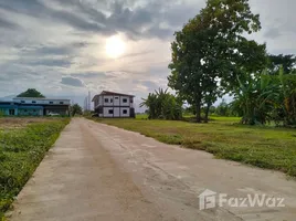  Terreno (Parcela) en venta en Chiang Rai, Mueang Phan, Phan, Chiang Rai