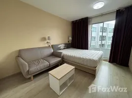 อพาร์ทเม้นท์ สตูดิโอ ให้เช่า ในโครงการ เอลิโอ เดล เรย์, บางจาก, พระโขนง