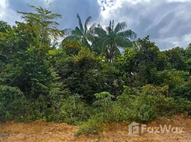  Terrain for sale in Amazonas, Rio Preto Da Eva, Amazonas