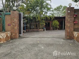 ขายบ้านเดี่ยว 3 ห้องนอน ใน น้ำแพร่, เชียงใหม่, น้ำแพร่, หางดง, เชียงใหม่
