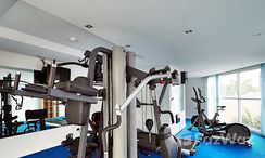 图片 3 of the Communal Gym at Sunset Boulevard 1