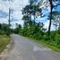  Land for sale in Choeng Thale, Thalang, Choeng Thale