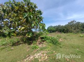 在印度尼西亚 / 印度尼西亞出售的 土地, Kuta, Badung, 里岛, 印度尼西亚 / 印度尼西亞