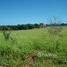  Land for sale in Pesquisar, Bertioga, Pesquisar