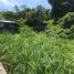 N/A Land for sale in Pa Khlok, Phuket Beachfront Land in Cape Yamu for Sale