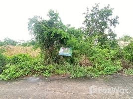  Land for sale in Sai Noi Nonthaburi, Sai Noi, Nonthaburi