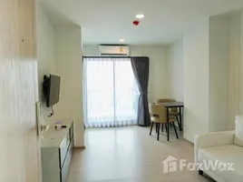 อพาร์ทเม้นท์ สตูดิโอ ให้เช่า ในโครงการ ดิ เอ็กเซล กรูฟ, บางนา, บางนา