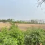  Land for sale in Nai Mueang, Sawankhalok, Nai Mueang