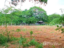 ขายที่ดิน ใน มวกเหล็ก, สระบุรี, มวกเหล็ก, มวกเหล็ก