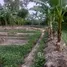  Terreno (Parcela) en venta en Tailandia, Lipa Noi, Koh Samui, Surat Thani, Tailandia