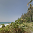  Land for sale in Thailand, Khok Kloi, Takua Thung, Phangnga, Thailand