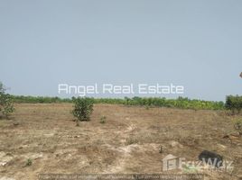 N/A Land for sale in Bago Pegu, Bago Land for sale in Bago