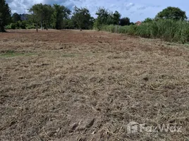 在网络, 华欣出售的 土地, 网络