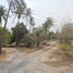 在Mueang Chon Buri, 春武里出售的 土地, Nong Ri, Mueang Chon Buri
