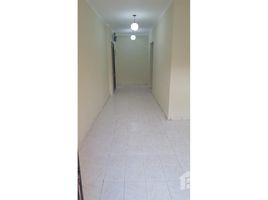 3 Bedroom Apartment for sale at Rehab City Second Phase, Al Rehab