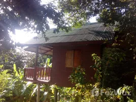 1 спален Дом в аренду в The Ocean Phangan Homestay, Ban Tai, Ko Pha-Ngan, Сураттани