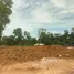  Terreno (Parcela) en venta en Ao Nang, Krabi, Ao Nang, Mueang Krabi, Krabi, Tailandia