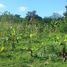  Terreno (Parcela) en venta en Puerto Plata, San Felipe De Puerto Plata