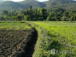 在清迈出售的 土地, Ban Luang, 宗通, 清迈