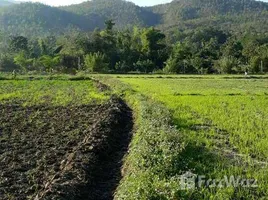  Terrain for sale in Thaïlande, Ban Luang, Chom Thong, Chiang Mai, Thaïlande