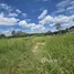  Land for sale in Don Kaeo, Chiang Mai, Don Kaeo, Saraphi, Chiang Mai