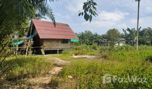 N/A Grundstück zu verkaufen in Sai Thai, Krabi 