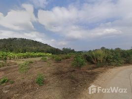  Land for sale in Mueang Lamphun, Lamphun, Mueang Chi, Mueang Lamphun