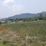  Land for sale in Thailand, Bang Sare, Sattahip, Chon Buri, Thailand