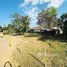  Земельный участок for sale in Rim Nuea, Чианг Маи, Rim Nuea, Мае Рим